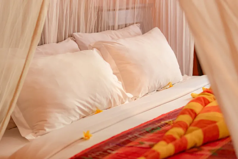 Plump white pillows under a draped mosquito net
